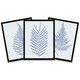 image 1 of Botanics Cobalt Blue Grey Leaves Ferns Nature Framed Pack Of 3 Wall art Print Home Decor