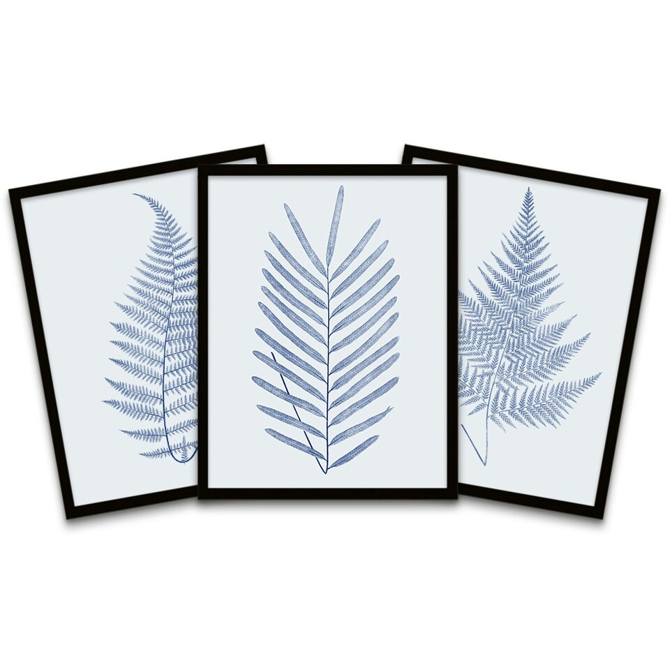 image 1 of Botanics Cobalt Blue Grey Leaves Ferns Nature Framed Pack Of 3 Wall art Print Home Decor
