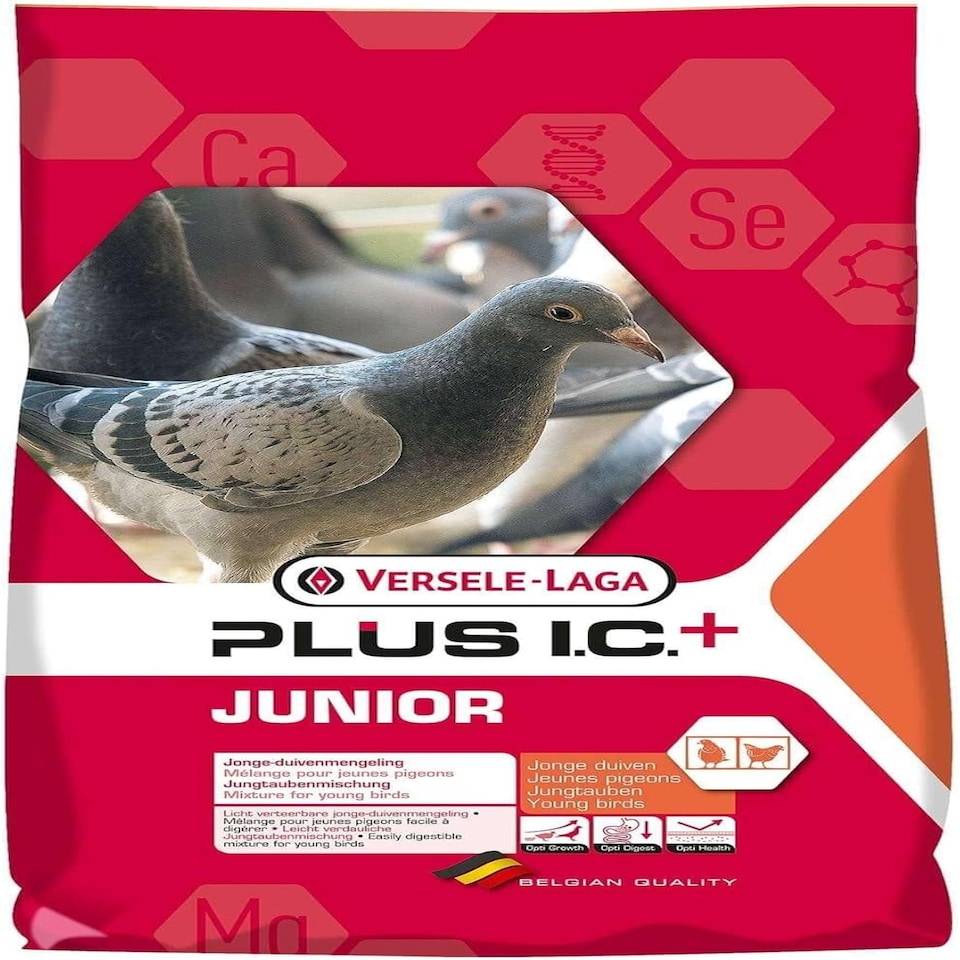 Versele Laga Plus I.C.+ Junior 20kg