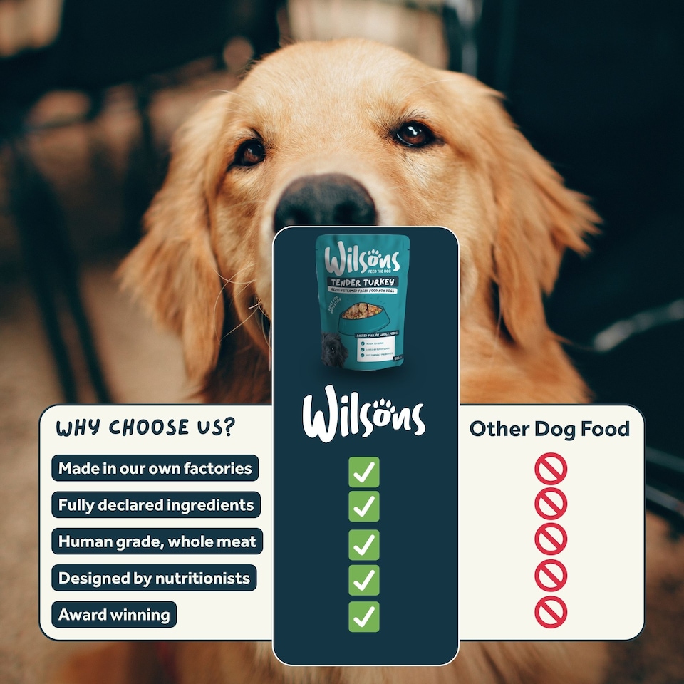 image 1 of Wilsons Mixed Fresh Dog Food Bundle Natural Healthy Complete Nutrition Pouches - 16x  380g Pouches