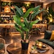 image 2 of 120cm (4ft) Artificial Bird of Paradise Plant (Strelitzia) - Extra Large