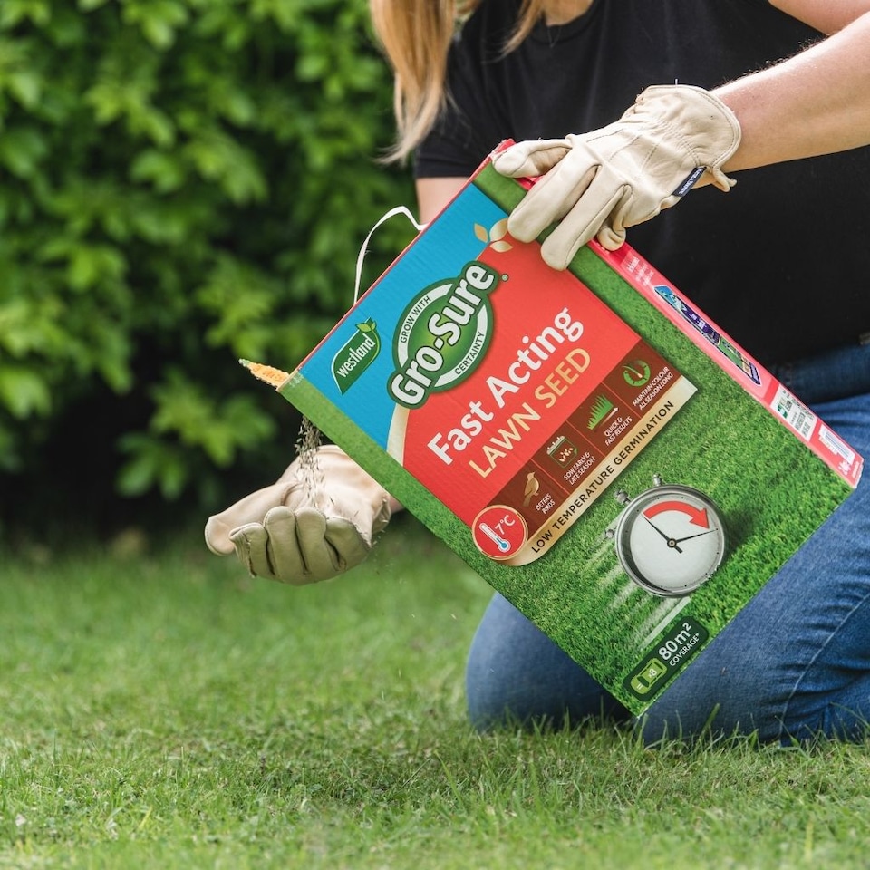 image 1 of Gro-Sure Fast Acting Lawn Seed 50sqm