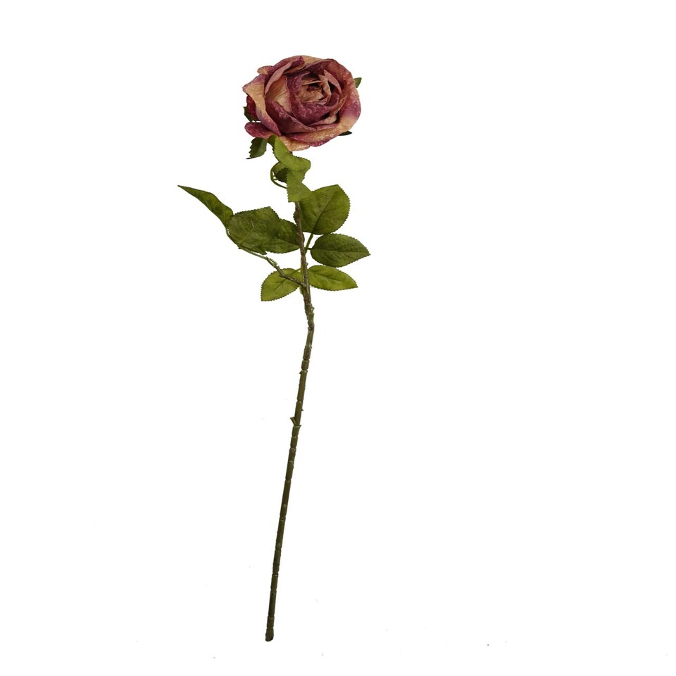 image 1 of Pack of 6 x 70cm Artificial Dark Pink Rose