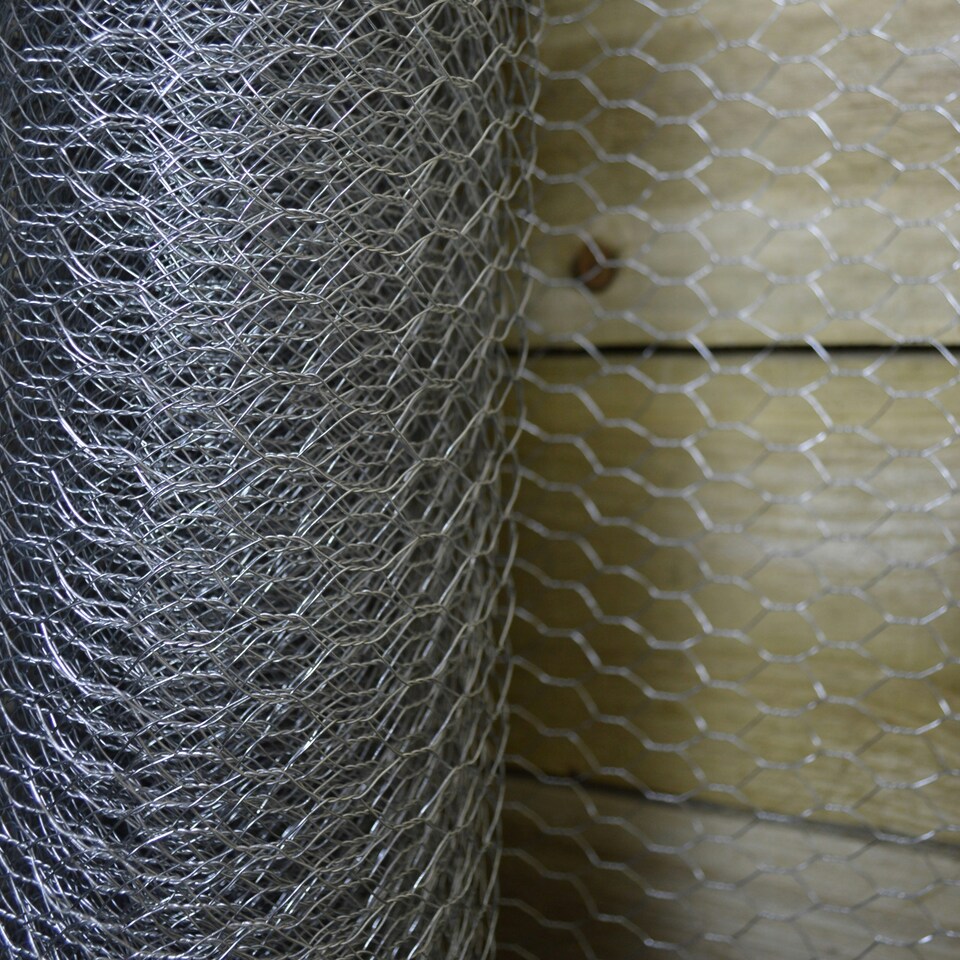 image 1 of 3 Pack of 10m Galvanised Metal Chicken Garden Wire Netting / Fencing