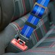 image 3 of KCT Blue Car Seatbelt for Dogs - 2 Pack Blue | L