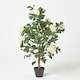 image 1 of Homescapes Peach Artificial Peony Tree in Black Pot, 100 cm Tall