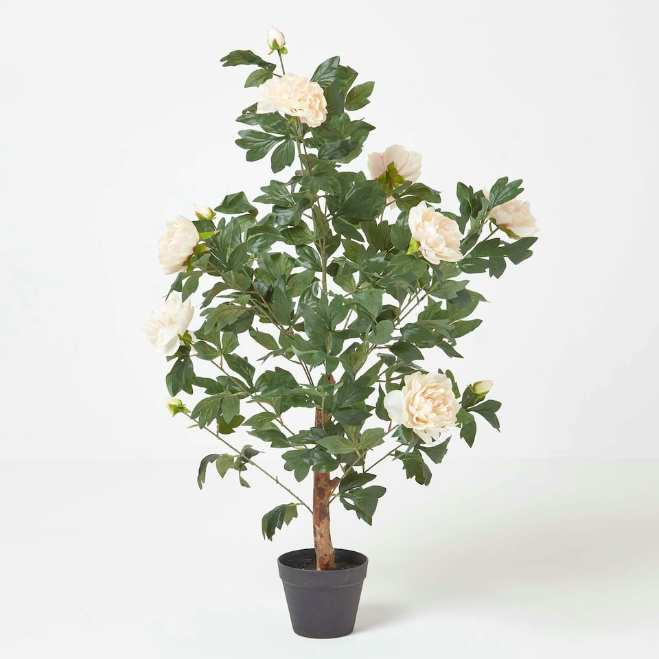 image 1 of Homescapes Peach Artificial Peony Tree in Black Pot, 100 cm Tall