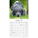 image 3 of Great Dane 2026 Calendar | Square Wall Calendar | Dog Breed Gift | Plastic Free Packaging | by Avonside Publishing