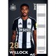 image 4 of Newcastle United FC 2025 A3 Wall Calendar - Multicoloured - One Size