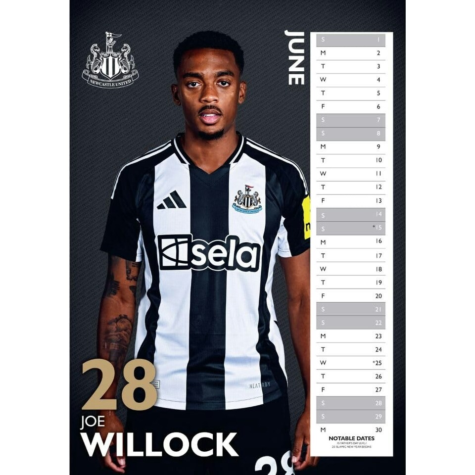 image 1 of Newcastle United FC 2025 A3 Wall Calendar - Multicoloured - One Size