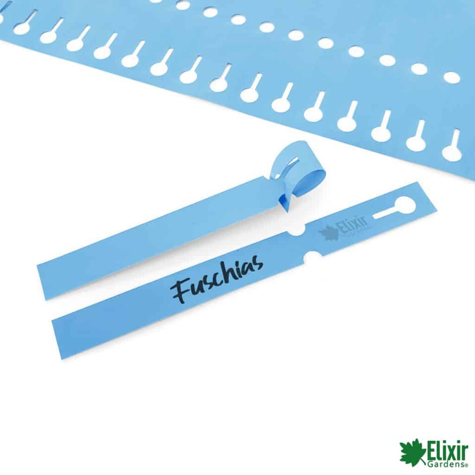 image 1 of Elixir Gardens Loop Lock Plant ID Label | BLUE | 160mm x 16mm (x 2000)