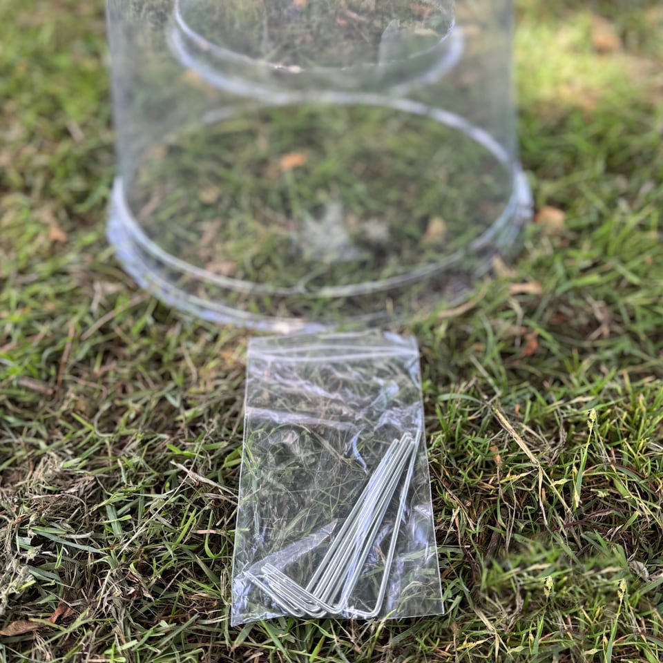 image 1 of Large Plastic Plant Protection Bell Cloche Covers with Ground Pegs - Pack of 3