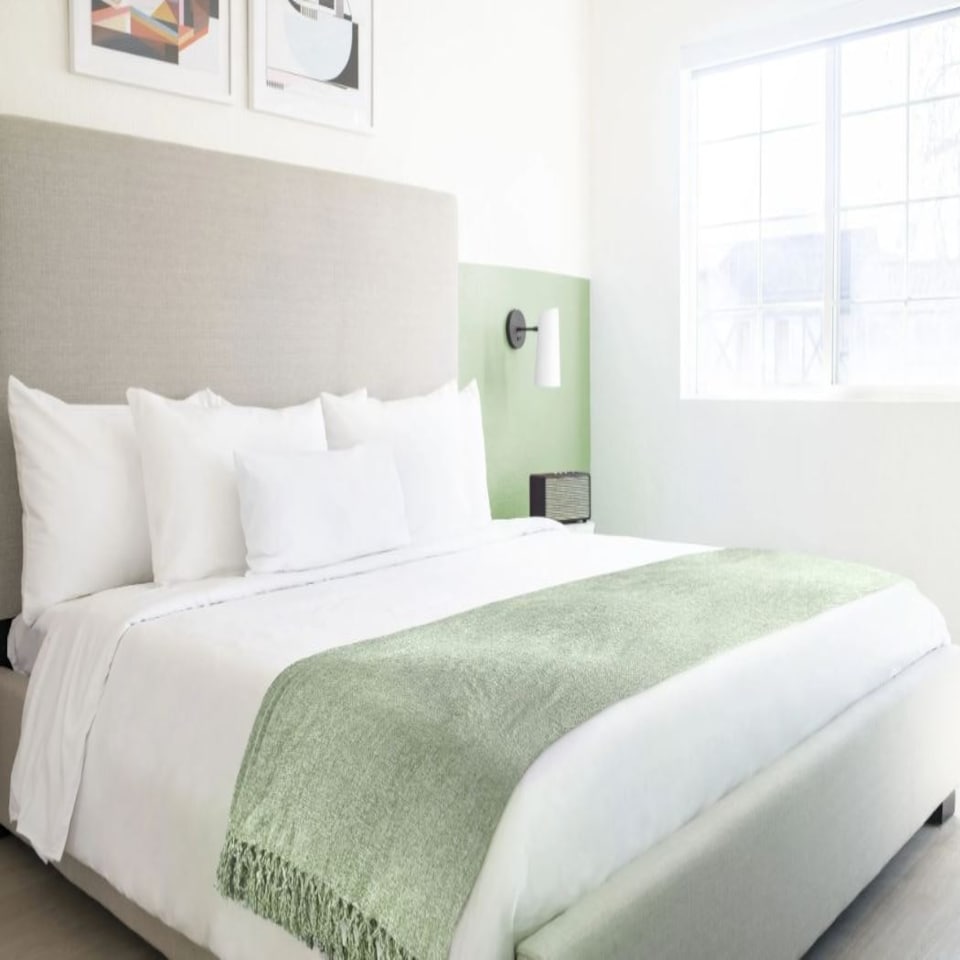 image 1 of Camilla Collection Chenille Throw in Meadow Green (50" x 60") Green | Green