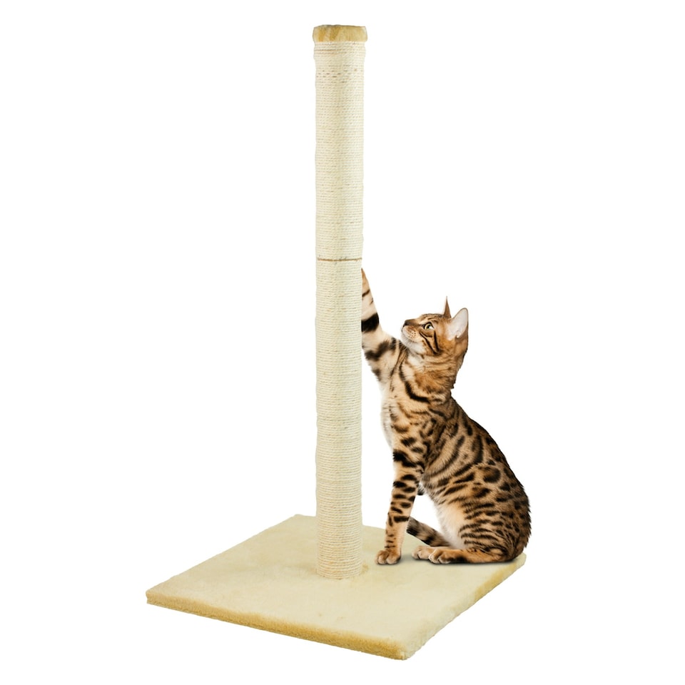 image 1 of KCT Large Beige Cat Scratching Post