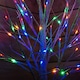 image 9 of 1.8m (6ft) Outdoor Christmas Light Up White Birch Tree with 80 Multicoloured LEDs