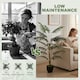 image 4 of HOMCOM 120cm Tall Artificial Fern Topiary Tree in Cement Pot, Green