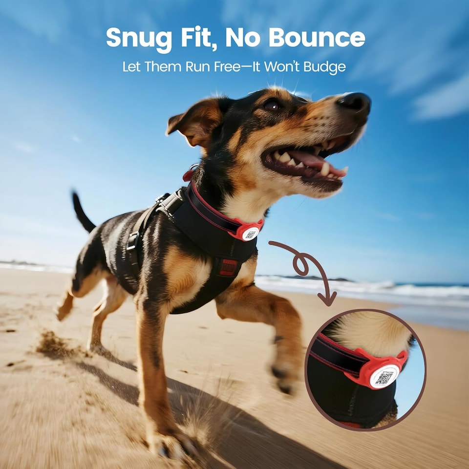 image 1 of AirTag Dog Collar Holder & Free App Pet Tracker Smart QR ID