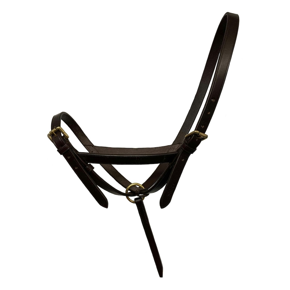 image 1 of Blenheim Leather Foal Slip Headpiece - Havana - Foal