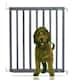 image 1 of Bettacare Chunky Wooden Screw Fit Dog Gate, 63.5cm - 105.5cm, Grey, Wooden Dog Gate Gate, Screw Fit Pet Stair Gate, Puppy Gate