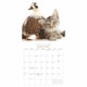 image 5 of Kittens Friends Square Wall Sunday Start
