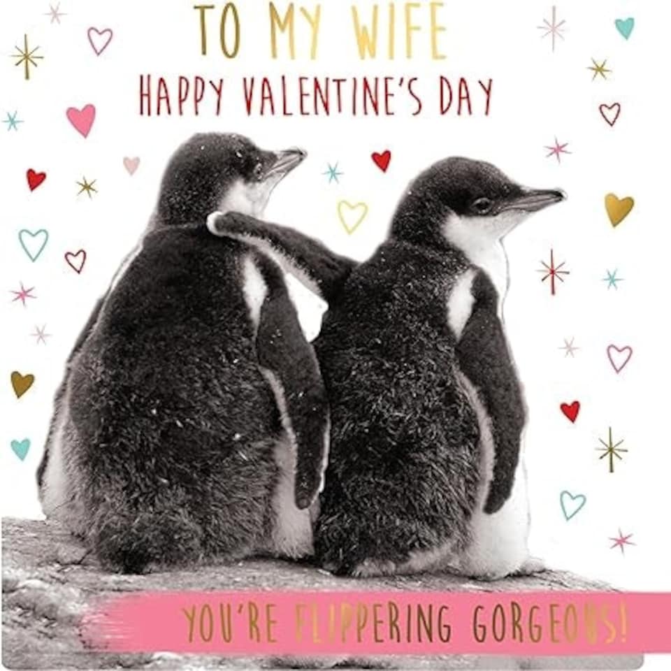 image 1 of To My Wife, You're Flippering Gorgeous! Valentine's Card