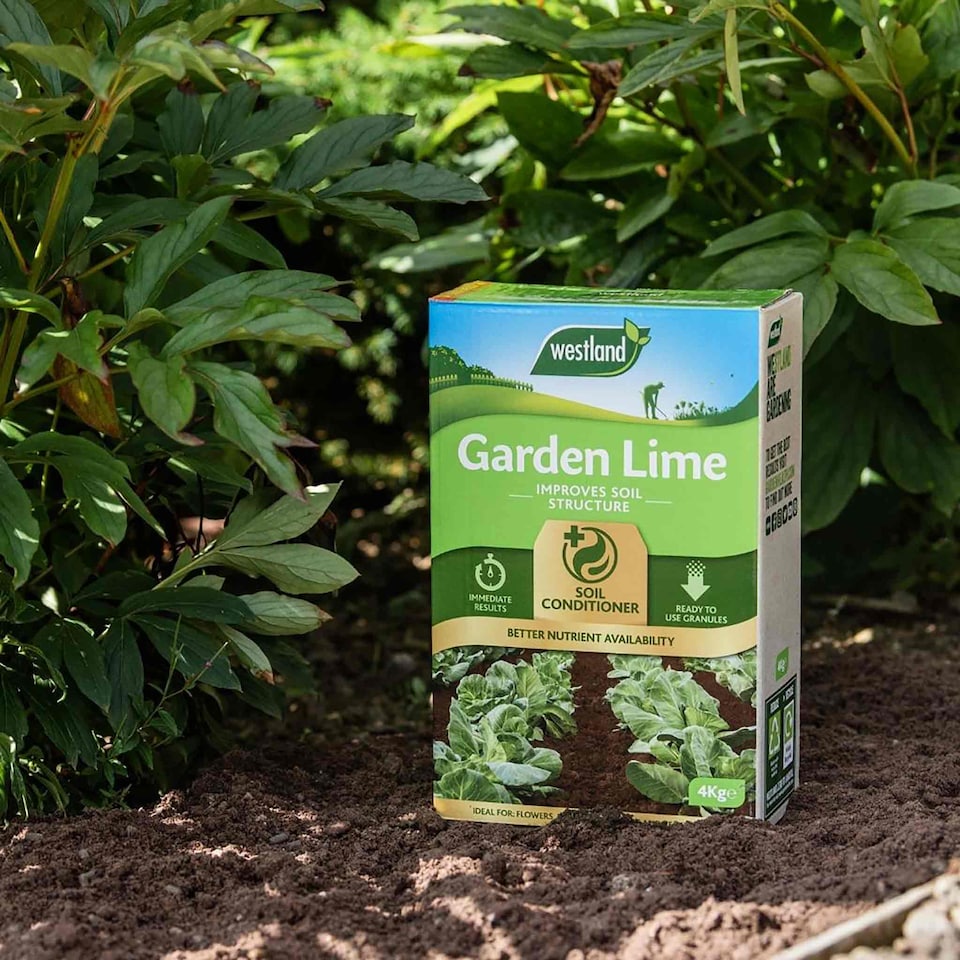 image 1 of Westland Garden Lime 4 kg | Multi | Box