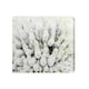 image 1 of Beautifully White (Canvas Print) 24" x 16"