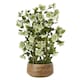 image 2 of Hill Interiors Hellebore Artificial Potted Plant - Green/Taupe - 85cm x 52cm x 52cm