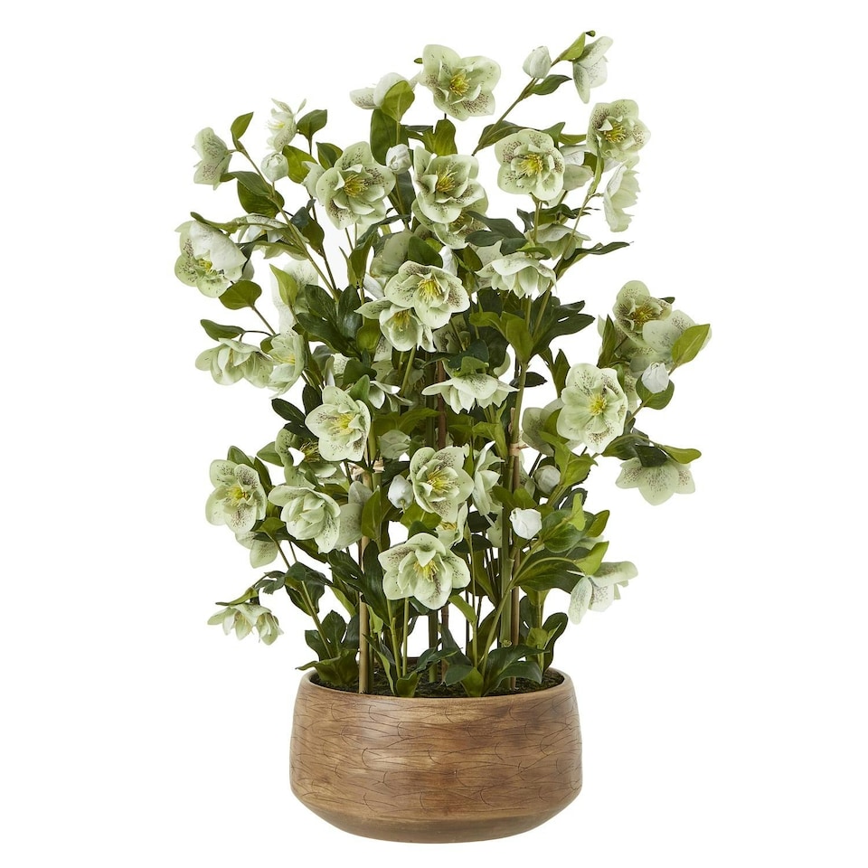 image 1 of Hill Interiors Hellebore Artificial Potted Plant - Green/Taupe - 85cm x 52cm x 52cm