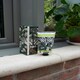 image 5 of The English Soap Company Royal Botanical Gardens Kew Hand Cream, Sandalwood Hand Cream, Moisturising Hand Cream for Men and Women, 75ml