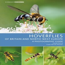 Hoverflies Of Britain & North West Europ