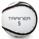 image 2 of Murphy's Unisex Hurling Sliotar Ball, White, 5 Trainer UK