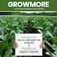 image 6 of Vitax Liquid Growmore 1L Concentrated All Purpose Plant Feed for Lawns Vegetables Flowers NPK Fertiliser Growth Boost