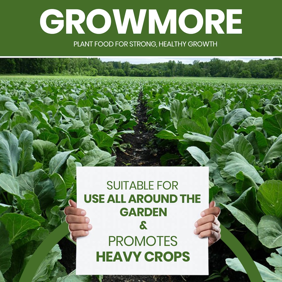 image 1 of Vitax Liquid Growmore 1L Concentrated All Purpose Plant Feed for Lawns Vegetables Flowers NPK Fertiliser Growth Boost