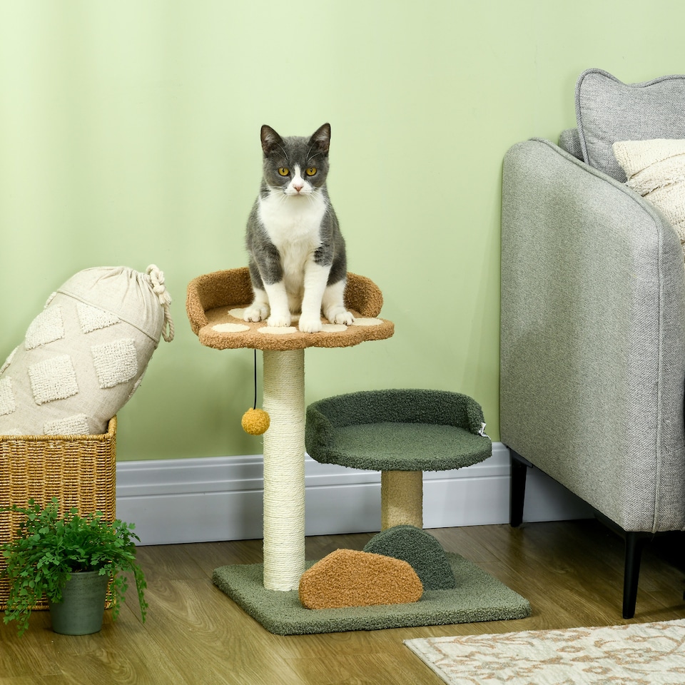 image 1 of PawHut Small Cat Tree with Scratching Posts 2 Beds Toy Ball Indoor, Multi