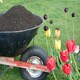 image 4 of Bulk Dumpy Bag Premium Vegetable Top Soil