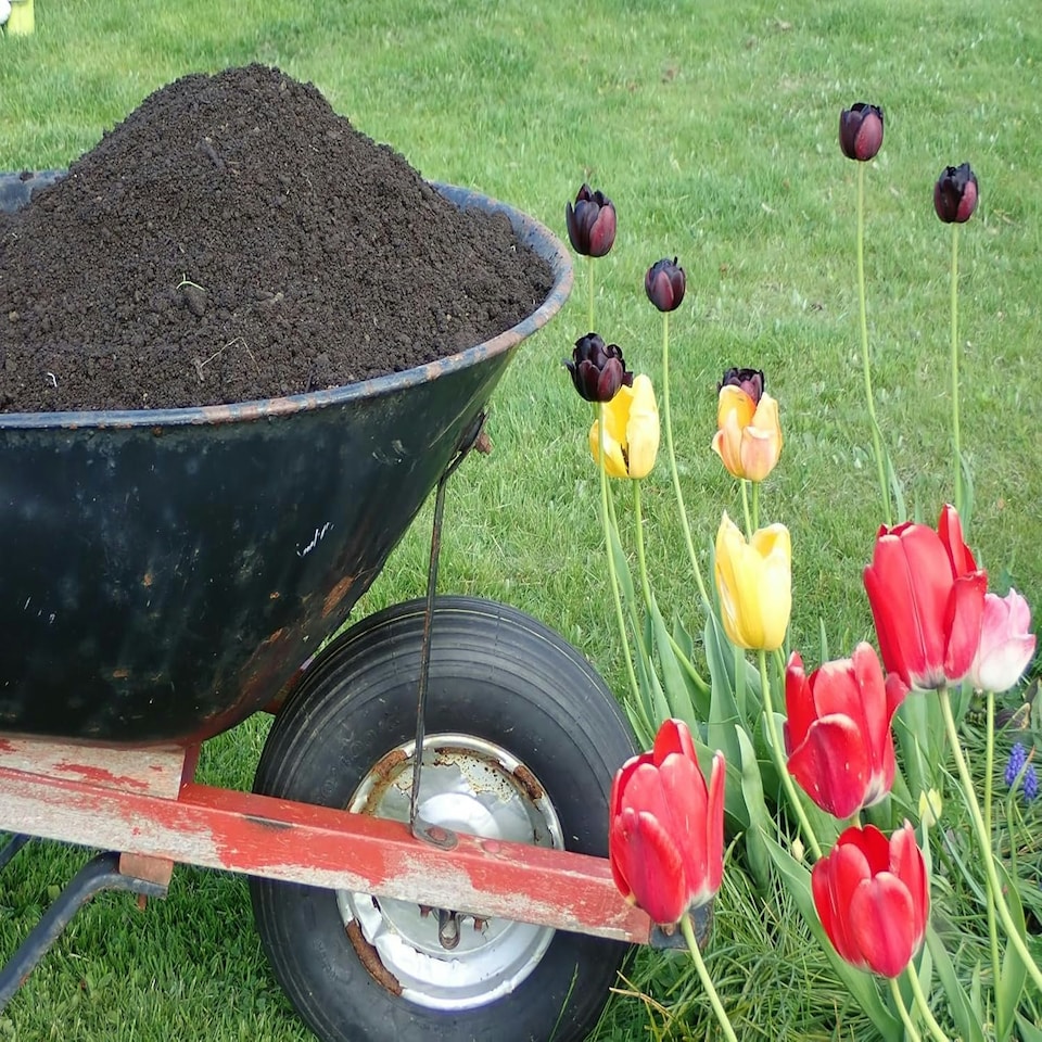 image 1 of Bulk Dumpy Bag Premium Vegetable Top Soil