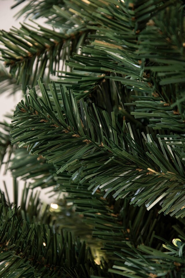 image 1 of Christmas Tree World  Pre-lit 1.4m Vanda Verde Fir Christmas Tree