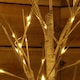image 7 of 2.4m (8ft) Indoor Outdoor Christmas Lit Birch Tree with 136 Warm White LEDs