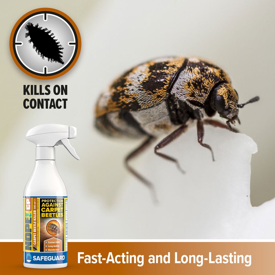 image 1 of NOPE CP Carpet Beetle Spray Killer 500ml - Fast Acting, Odourless Carpet Beetle Treatment for Home use