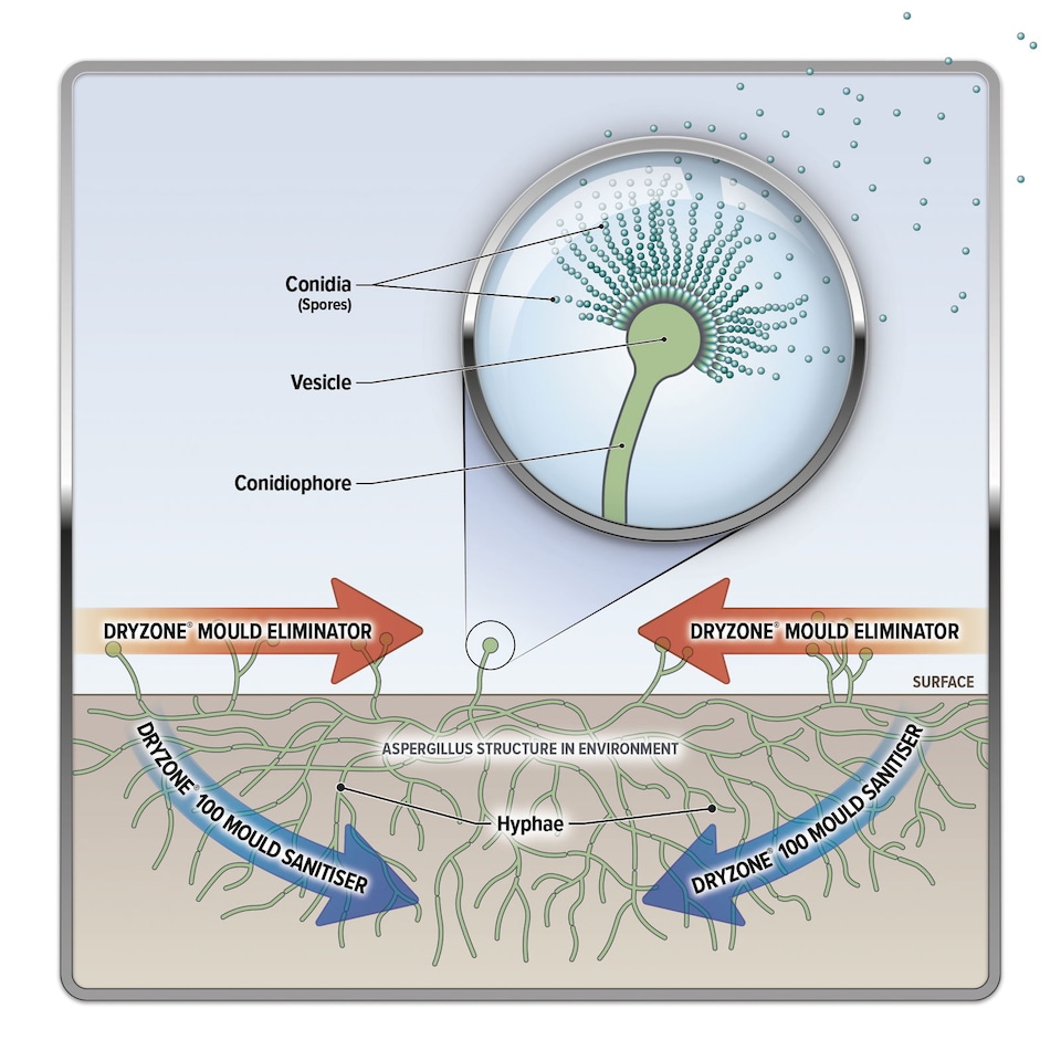 image 1 of Dryzone Mould Remover Prevention Kit (3 x 450ml Spray) - Fast-Acting Black Mould Remover on Bathroom, Walls, Ceilings and Others
