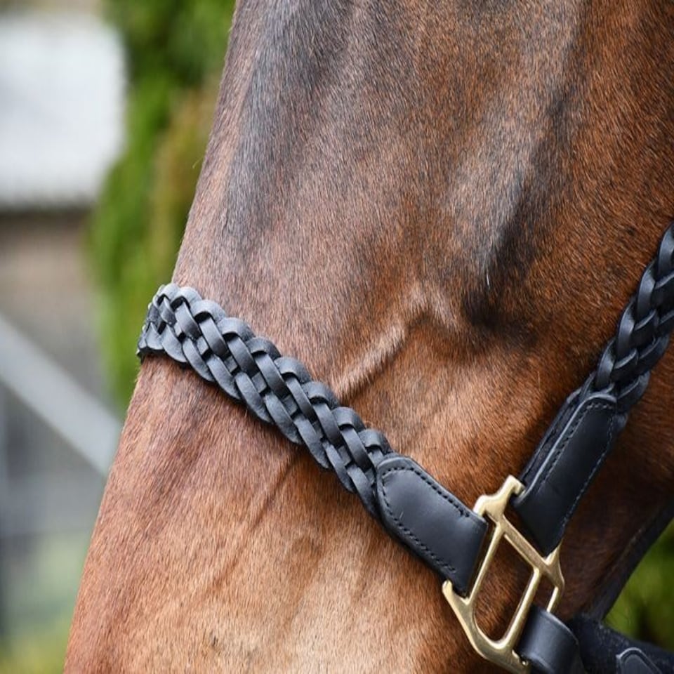 image 1 of Rhinegold Lazio Plaited Leather Headcollar & Lead Black | Size: Cob
Colour: Black