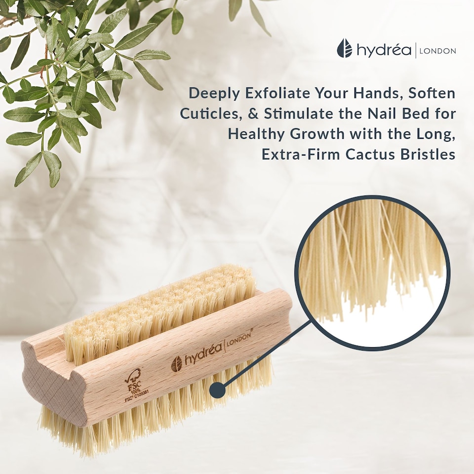 image 1 of Hydrea London Nail Brush - Double-Sided Pedicure & Manicure Brush with Natural Cactus Bristles