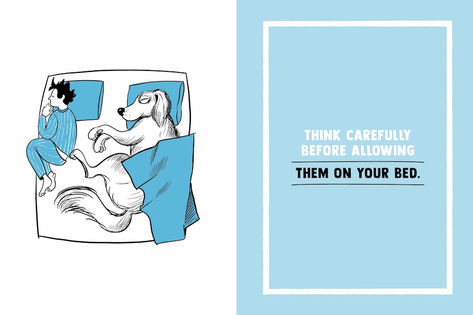image 1 of The Dog Owner's Survival Guide