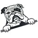 image 4 of Black Metal Peeking Bulldog Silhouette with Fixing Plate Garden Ornament Gift