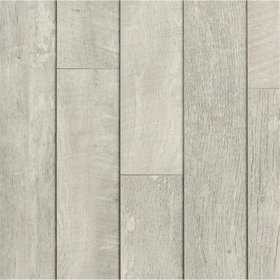 image 1 of PACK OF 10 (Total 10 Units) - Light Grey Oak 8mm Thick Laminate Flooring (22.2m2 Coverage)