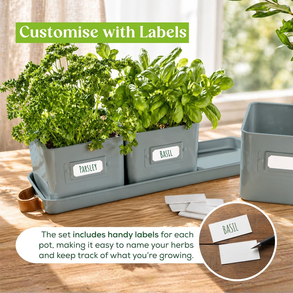 image 1 of Set of 6 Blue Indoor Herb Pots with Tray