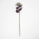 image 2 of Homescapes Artificial Stem of Grey Orchid Flower, 68 cm