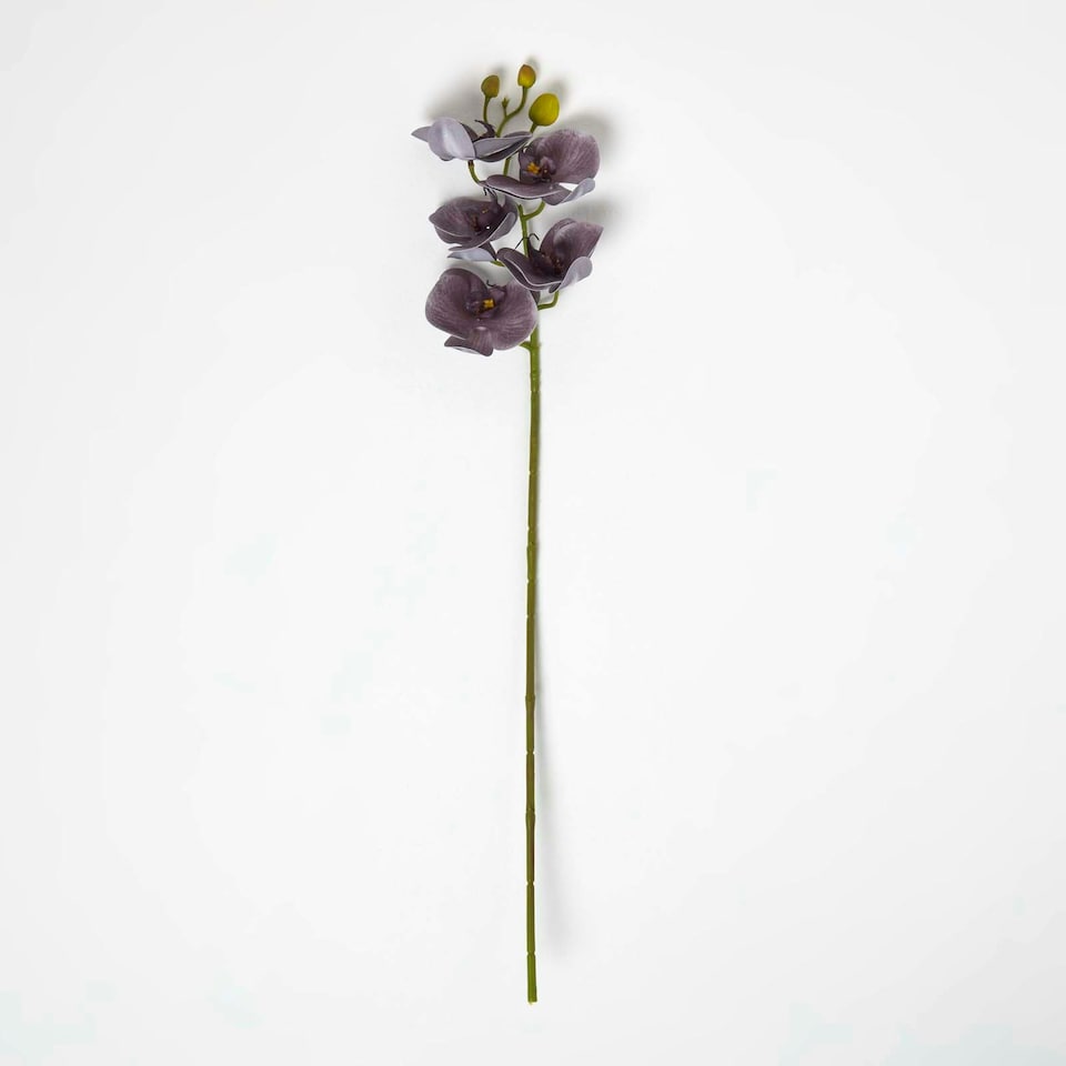 image 1 of Homescapes Artificial Stem of Grey Orchid Flower, 68 cm