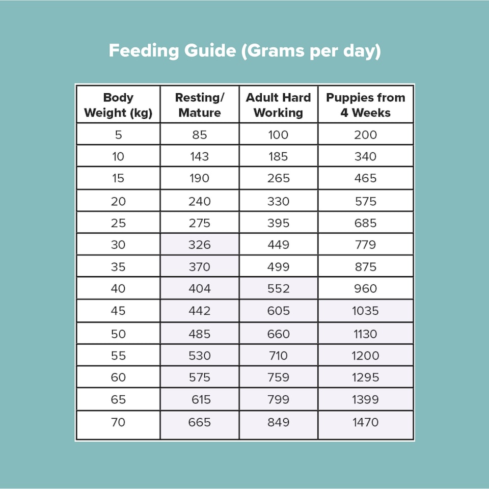 image 1 of Pero Cold Pressed Dog Food - Salmon & Sweet Potato | Brown | 12kg | Salmon | 1